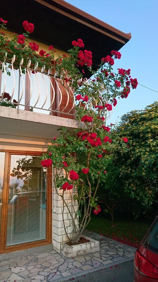 Apartma Niko Piran Zewnętrze zdjęcie