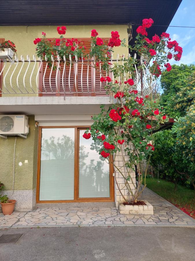 Apartma Niko Piran Zewnętrze zdjęcie